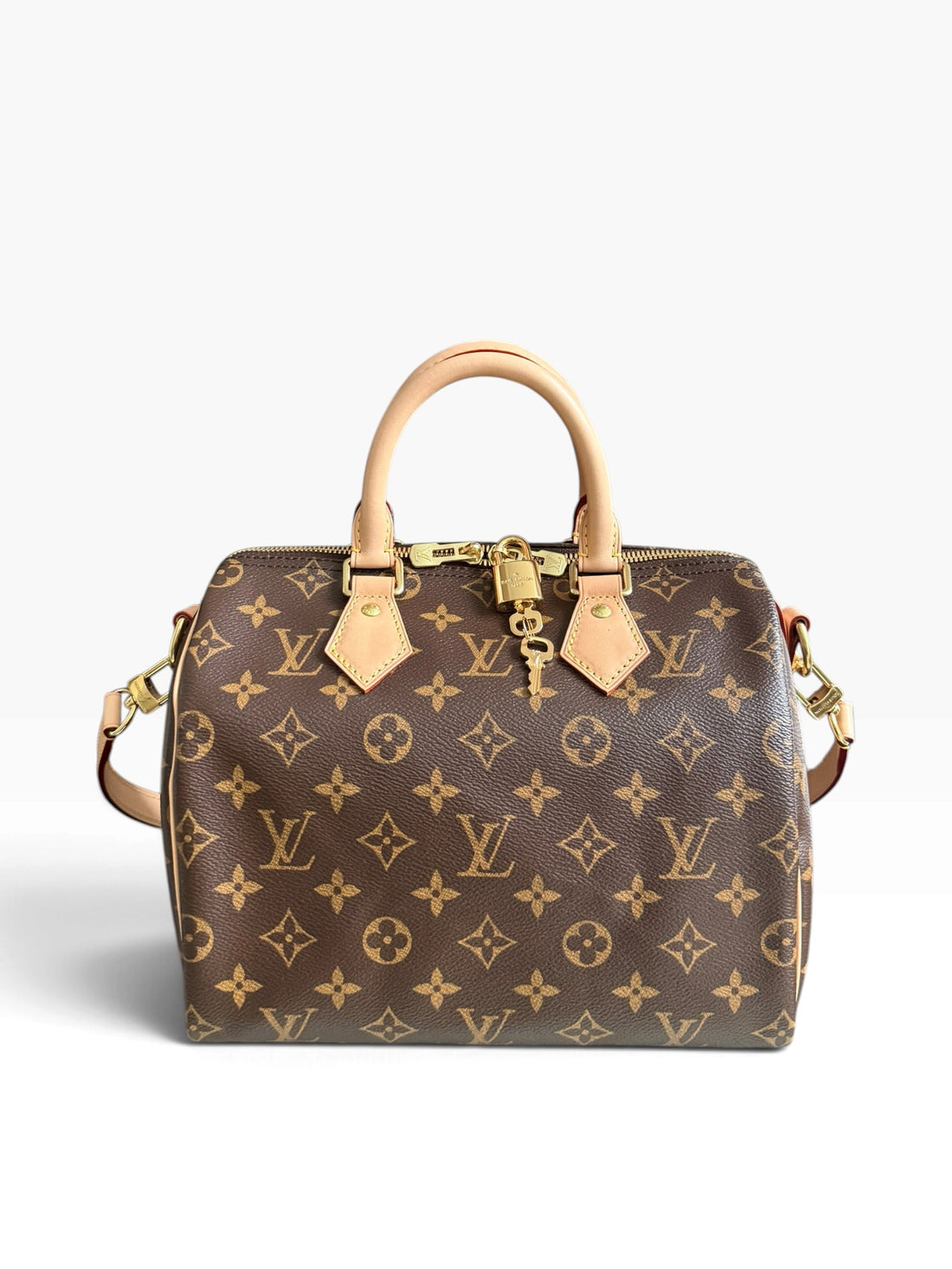 Louis Vuitton Speedy 25 in Monogram Canvas