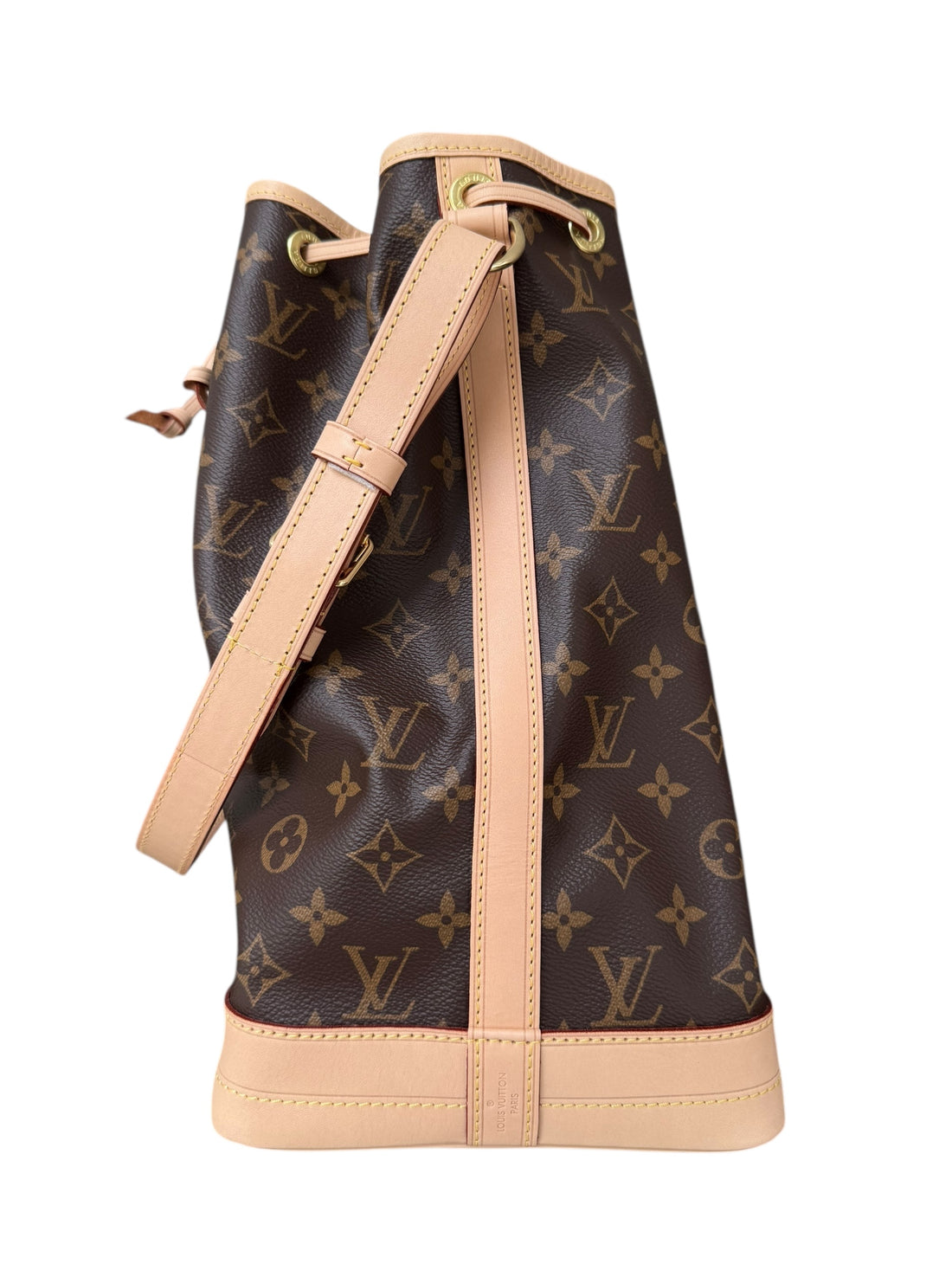Louis Vuitton Noé Monogram Canvas