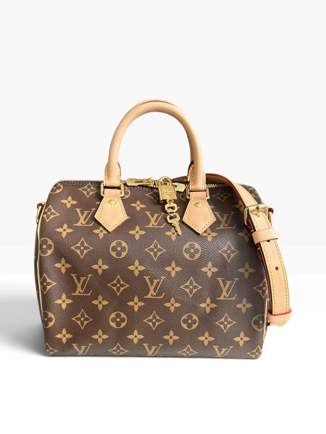 Louis Vuitton Speedy 25 in Monogram Canvas