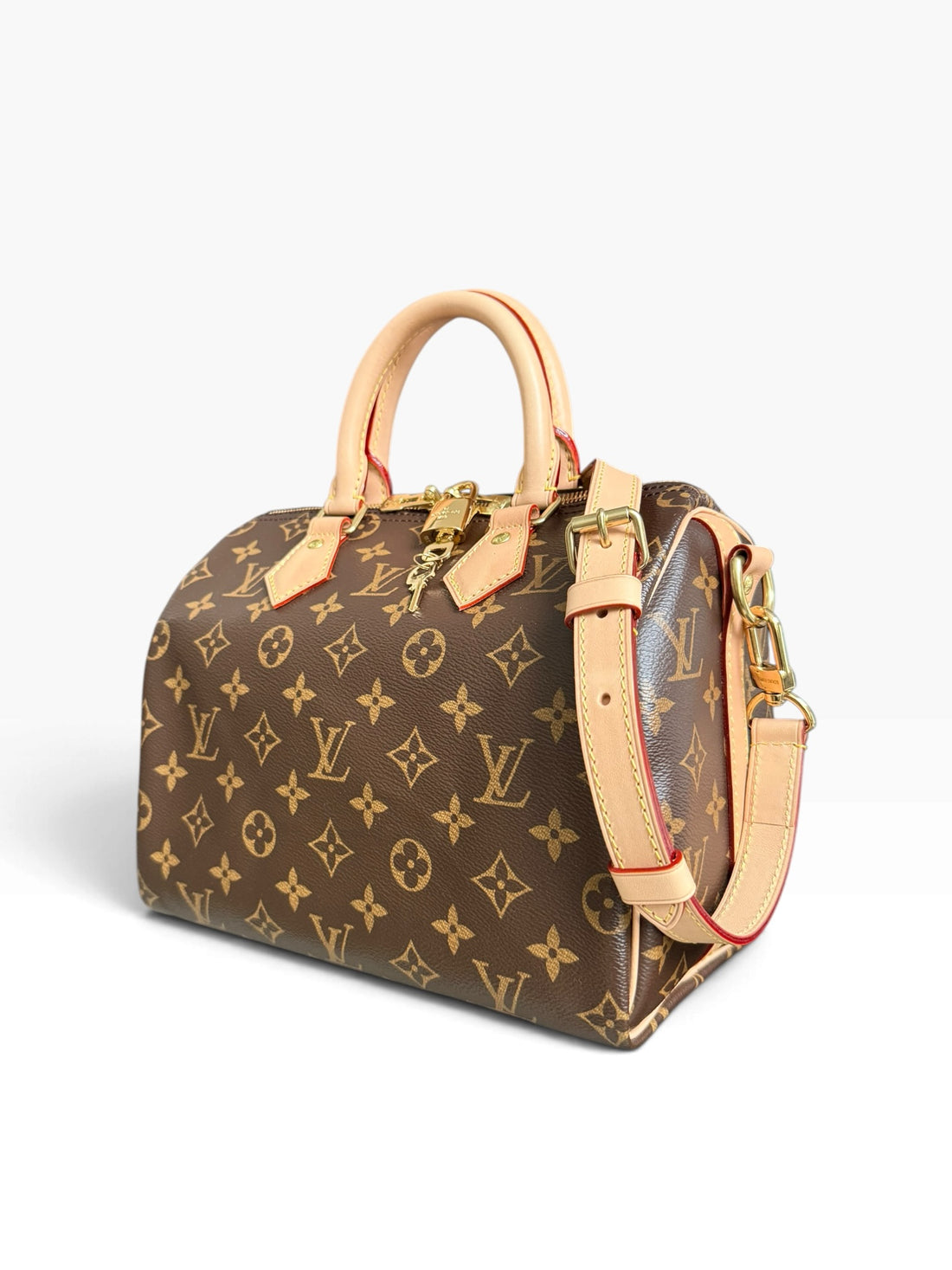 Louis Vuitton Speedy 25 in Monogram Canvas
