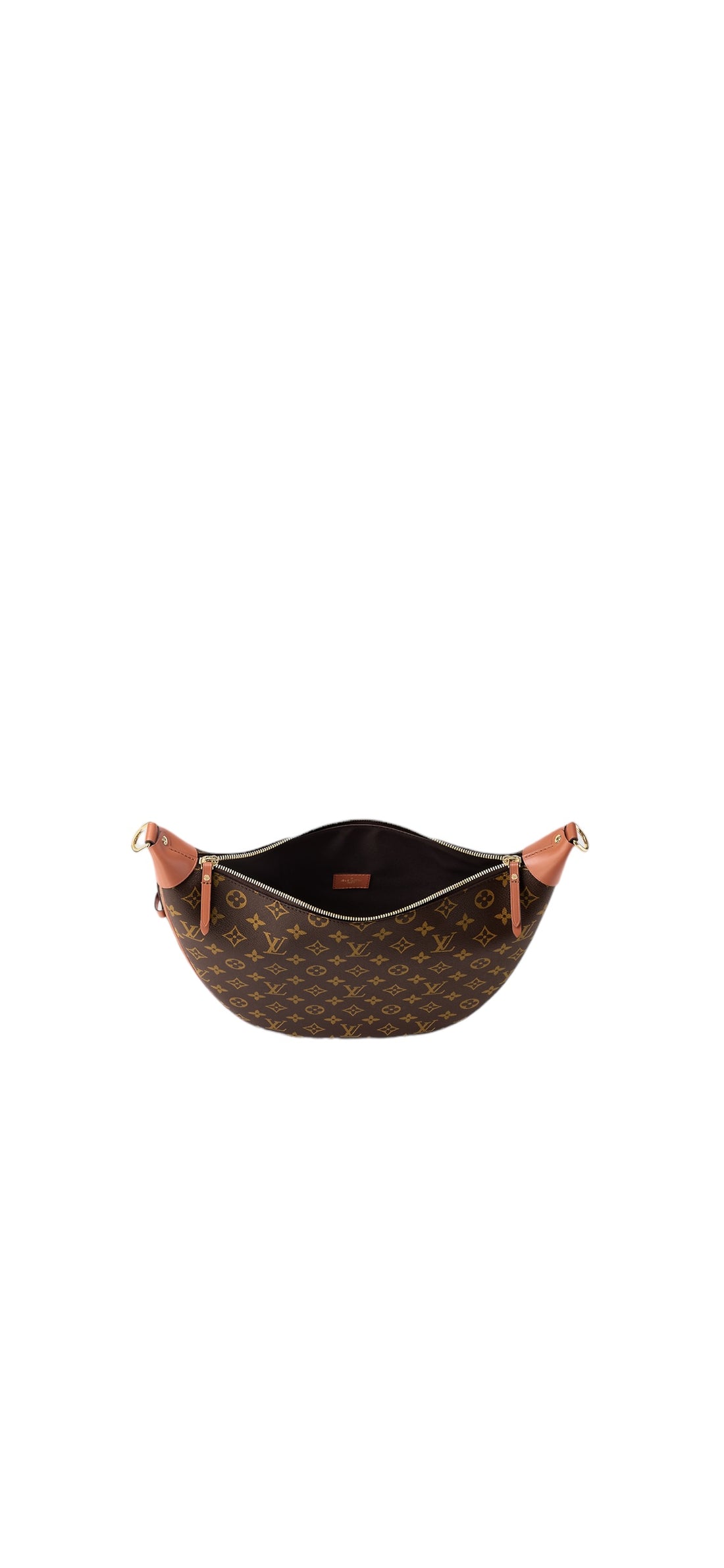 Louis Vuitton Hobo Loop Monogram Canvas Reverse