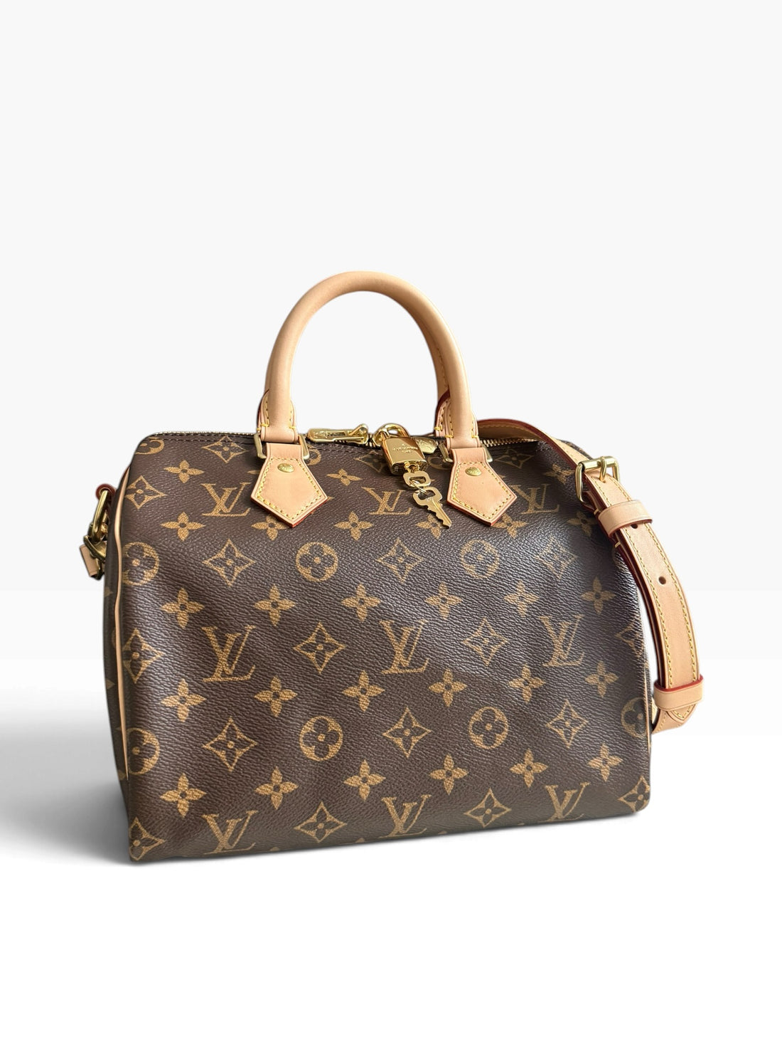 Louis Vuitton Speedy 25 in Monogram Canvas