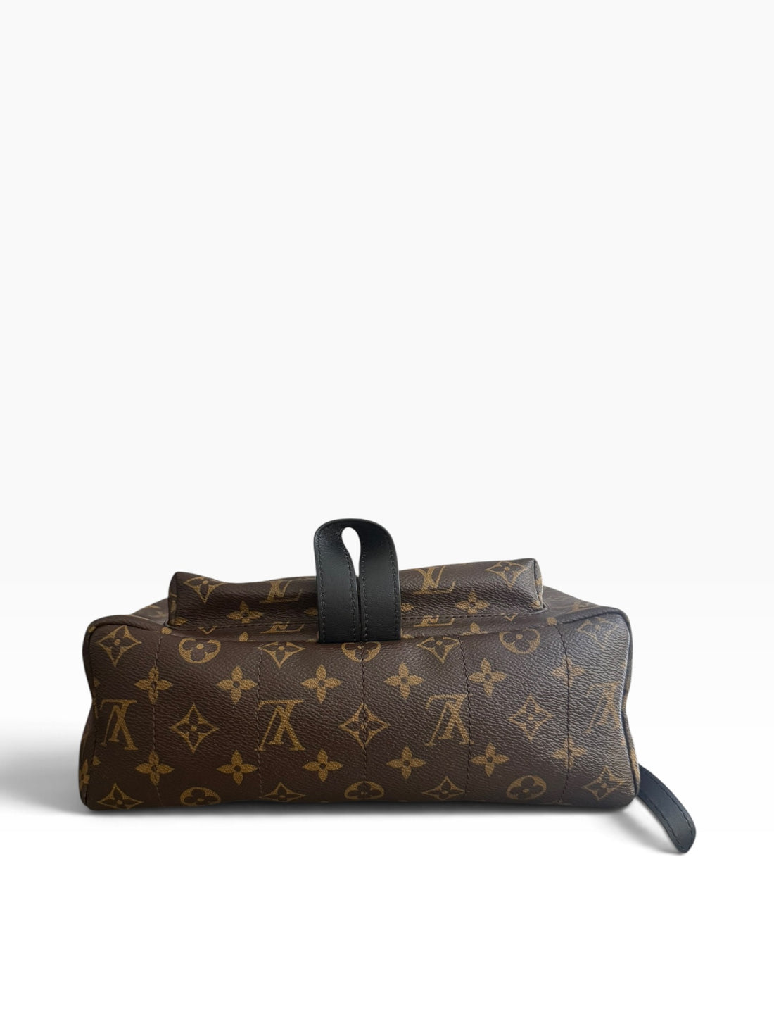 Louis Vuitton Palm Springs Rucksack Monogram.