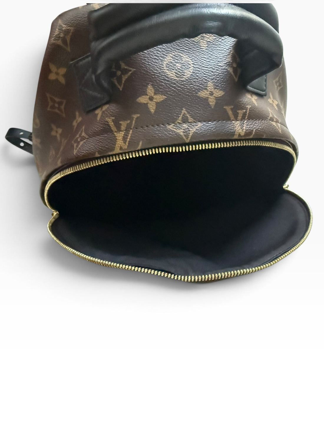Louis Vuitton Palm Springs Rucksack Monogram.