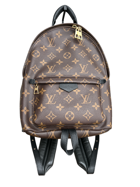 Louis Vuitton Rucksack Palm Springs