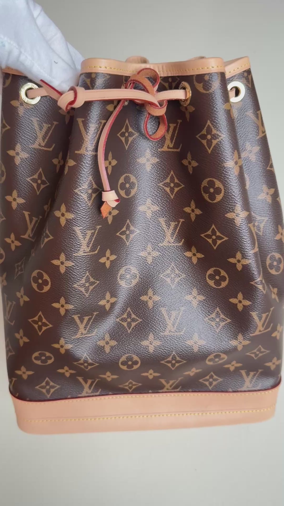 Louis Vuitton Noé Monogram Canvas